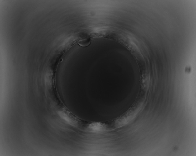 X0000102530231200808081459