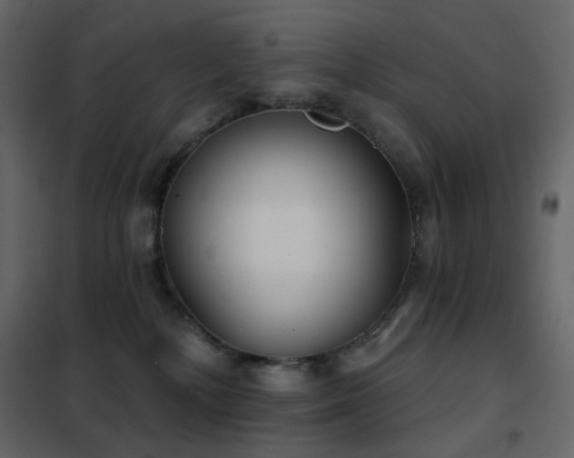 X0000102530232200808081459