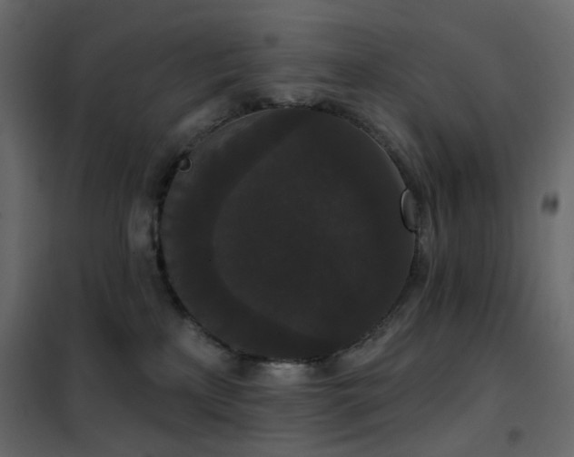 X0000102530233200808081459