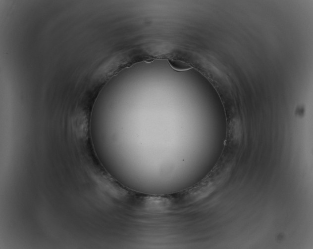 X0000102530234200808081459