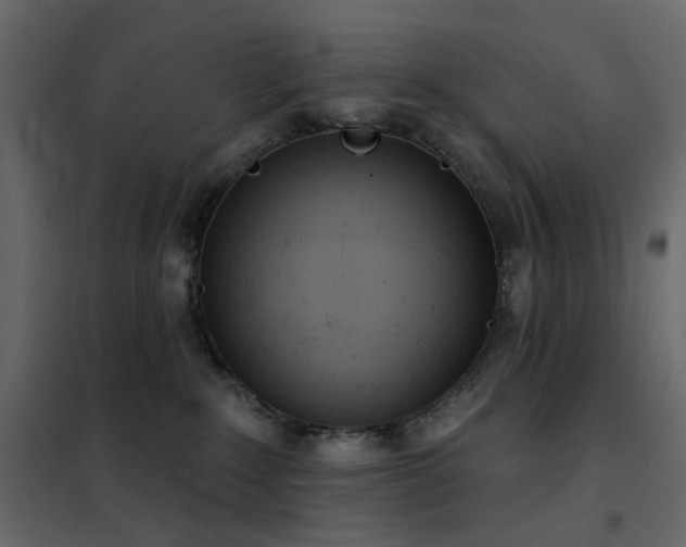 X0000102530235200808081459