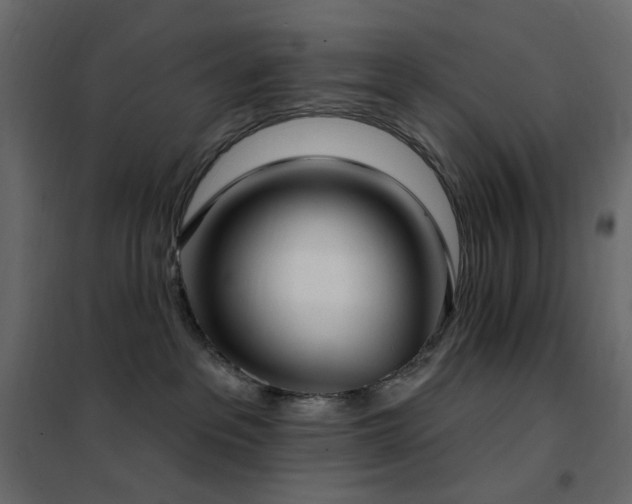 X0000102530237200808081459