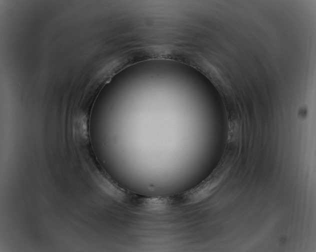X0000102530238200808081459