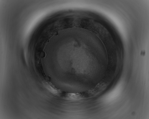 X0000102530239200808081459