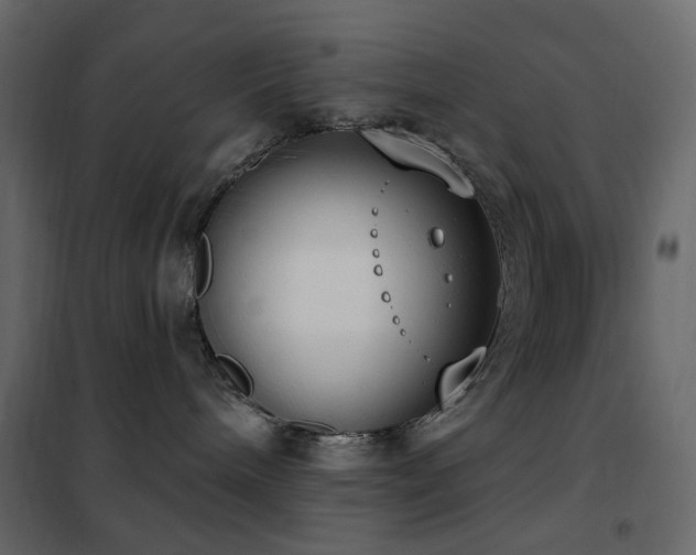 X0000102530240200808081459