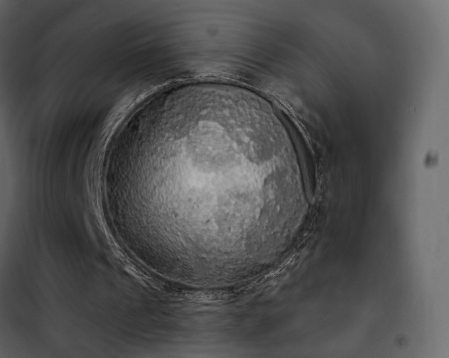 X0000102530241200808081458