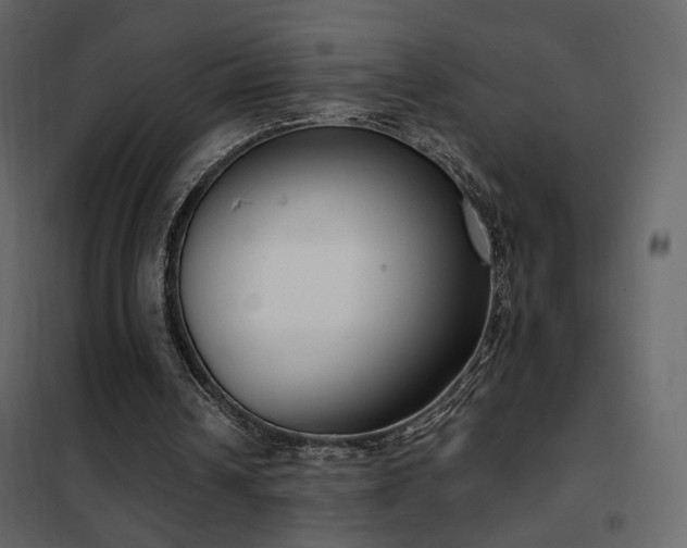 X0000102530242200808081458