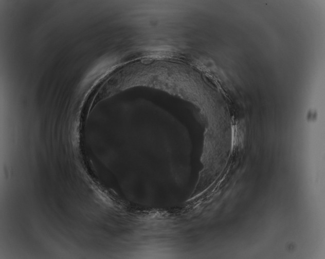 X0000102530243200808081458