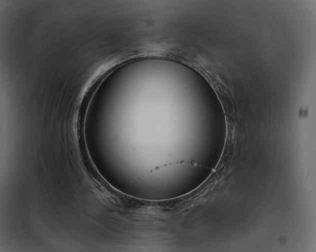 X0000102530244200808081458