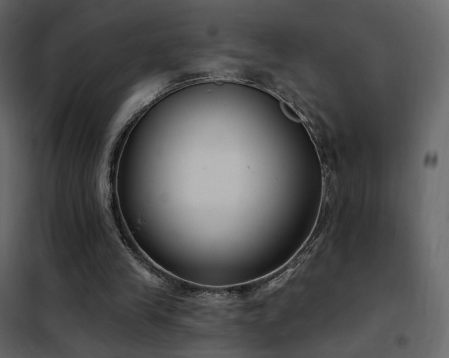 X0000102530245200808081458