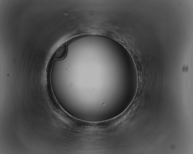 X0000102530246200808081458