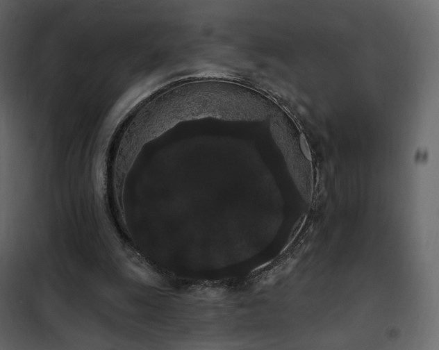 X0000102530247200808081458