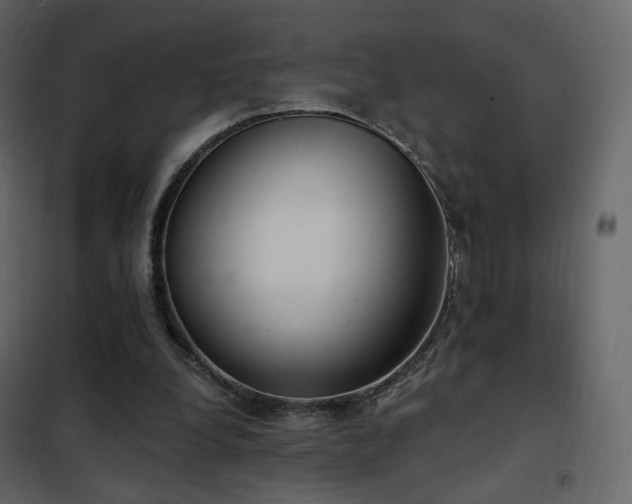 X0000102530248200808081458