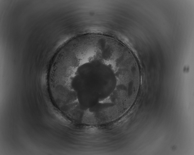 X0000102530249200808081458
