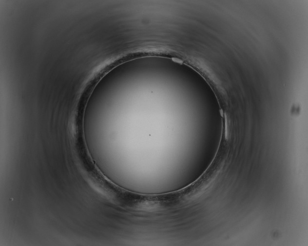 X0000102530252200808081458