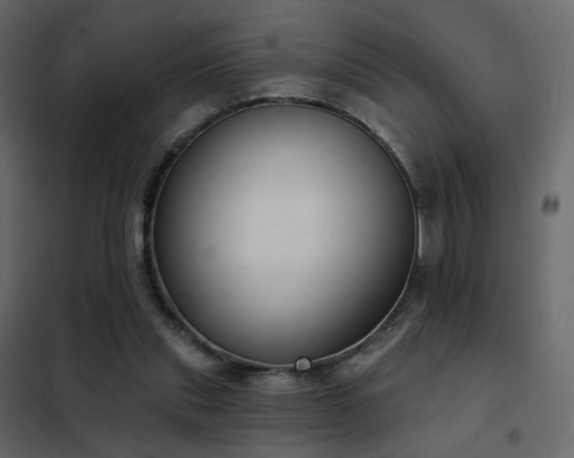 X0000102530253200808081458