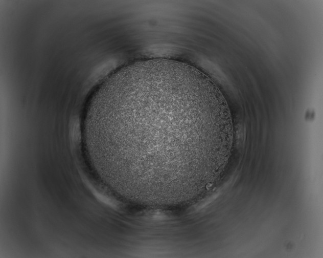 X0000102530254200808081458