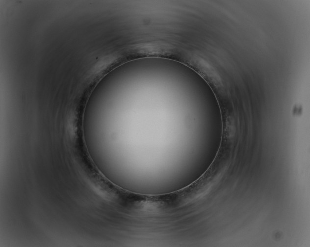 X0000102530255200808081458