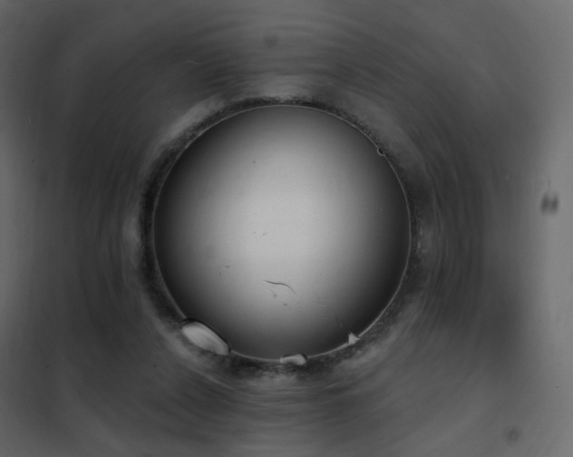 X0000102530256200808081458