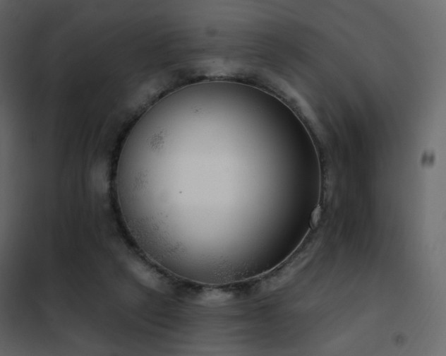 X0000102530257200808081459