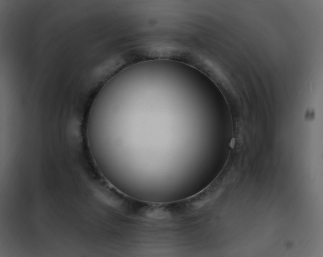 X0000102530258200808081459