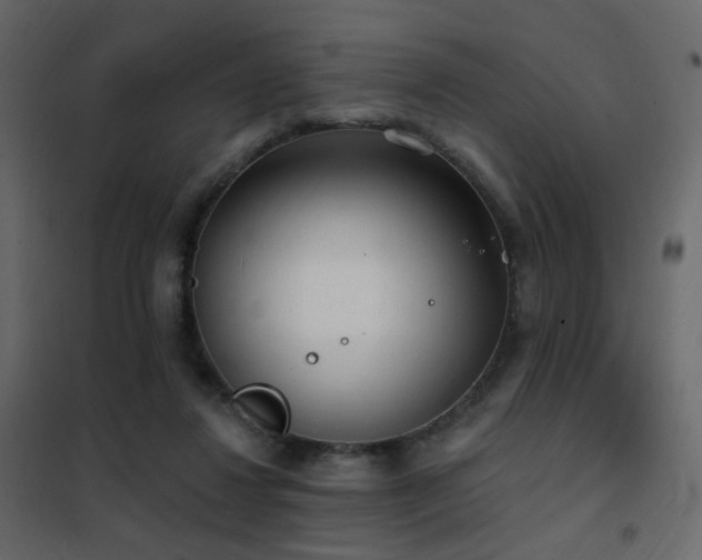 X0000102530260200808081459