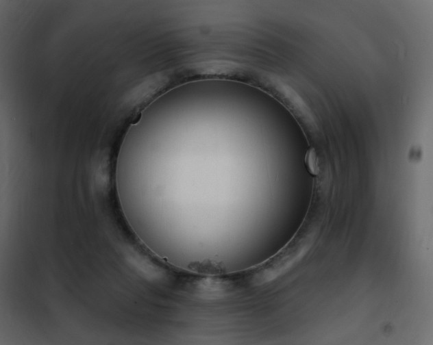 X0000102530261200808081459