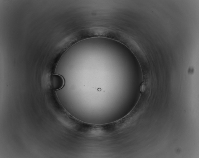 X0000102530262200808081459
