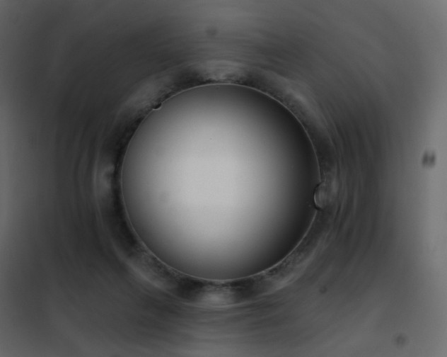 X0000102530263200808081459