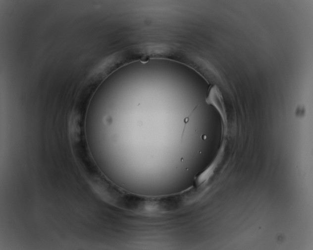 X0000102530264200808081459
