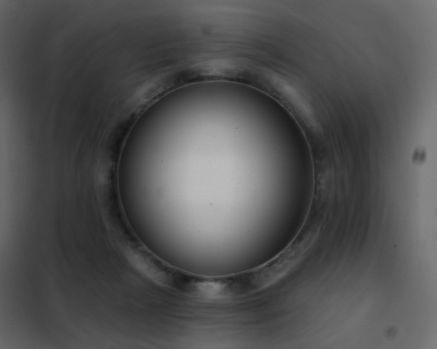 X0000102530265200808081459