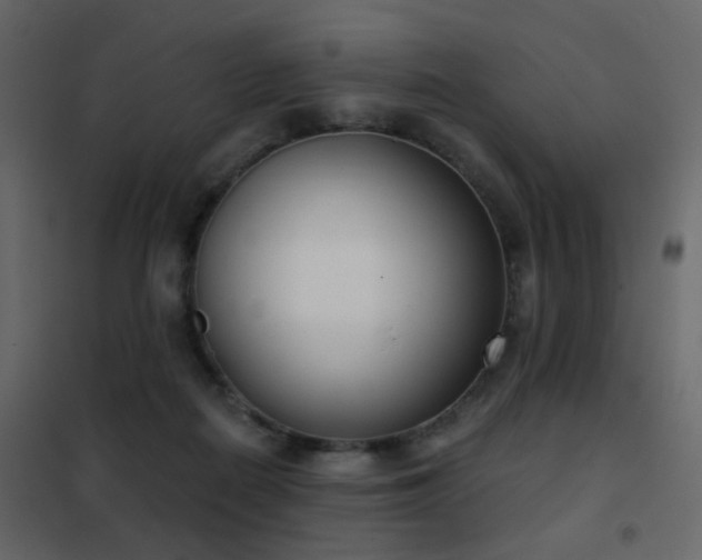 X0000102530266200808081459