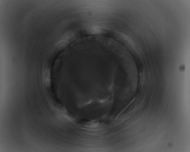 X0000102530267200808081459