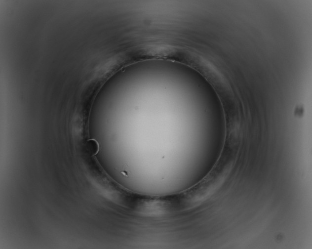 X0000102530268200808081459