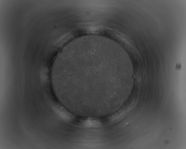 X0000102530270200808081459