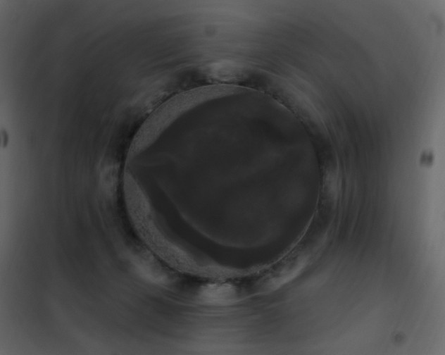X0000102530271200808081459