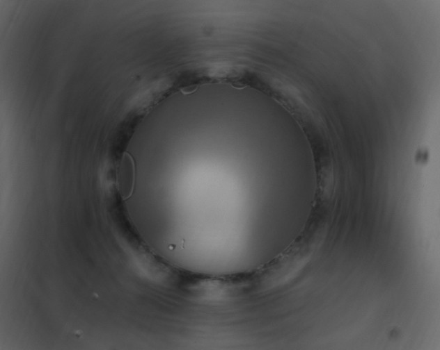 X0000102530272200808081459