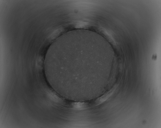 X0000102530273200808081459