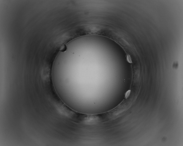 X0000102530274200808081459