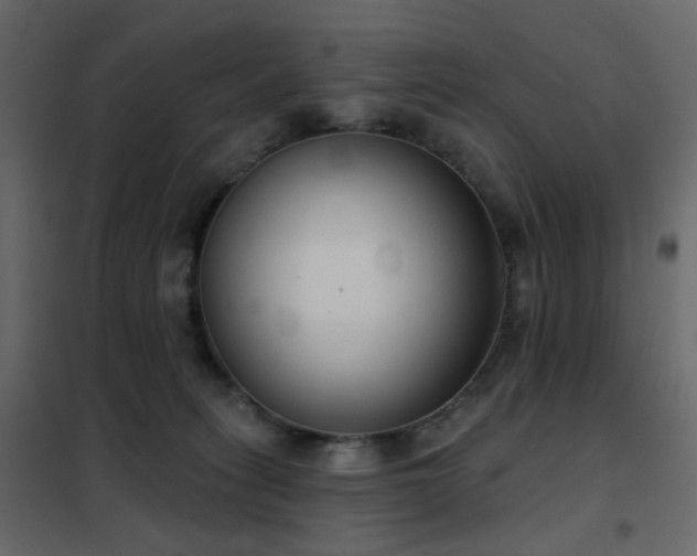 X0000102530275200808081459