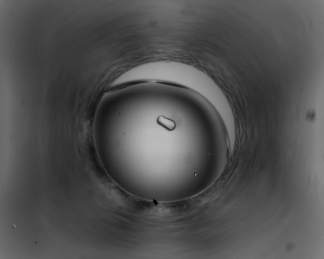 X0000102530276200808081459