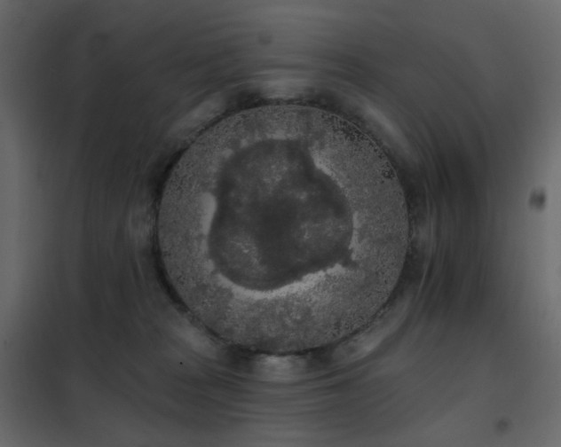 X0000102530277200808081459