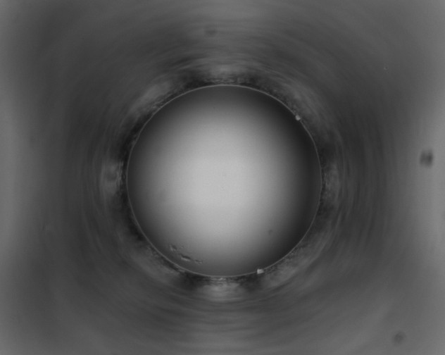 X0000102530278200808081459