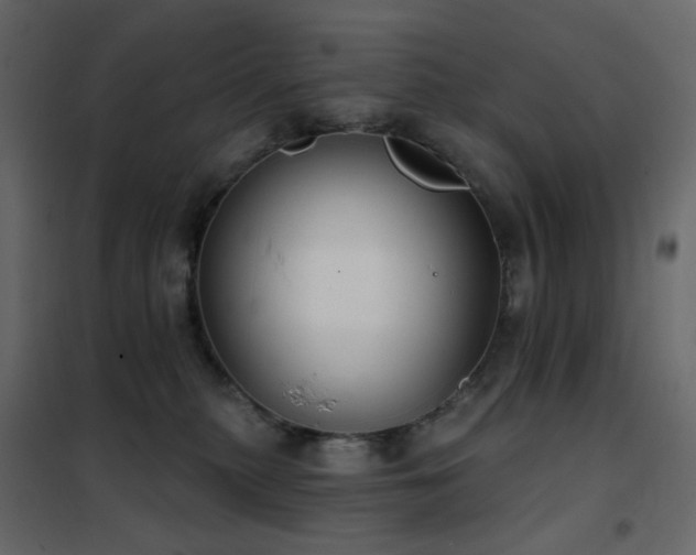 X0000102530279200808081459
