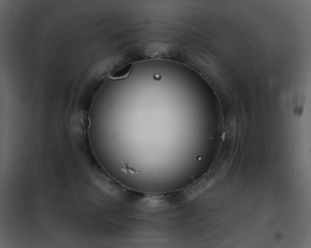 X0000102530280200808081459