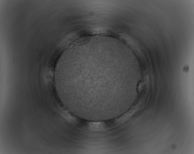 X0000102530281200808081459