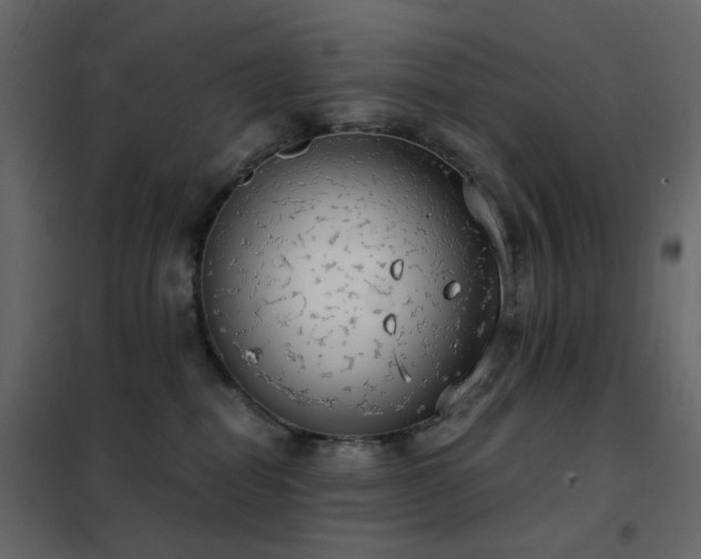 X0000102530282200808081459