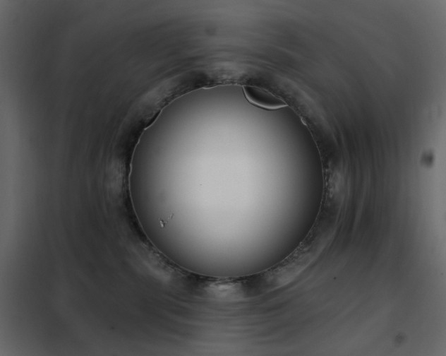 X0000102530283200808081459