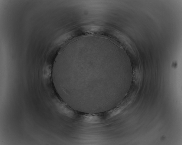 X0000102530284200808081459