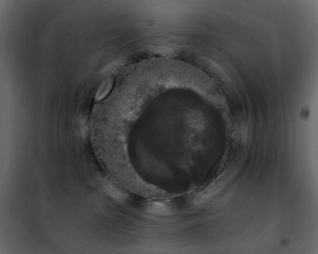 X0000102530285200808081459